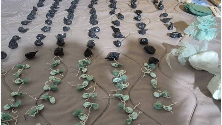 Allanamientos en Concordia: murió su madre, lo amenazaron y exigieron que siga ocultando la droga