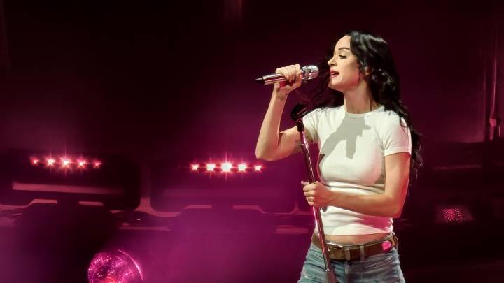 Katy Perry consigue una indemnización de 1,84 millones de dólares tras años de demandas por su mansión en California