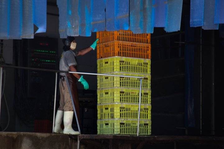 Tres Arroyos: crece el negocio del pollo pero la empresa no paga, despide y fusiona plantas