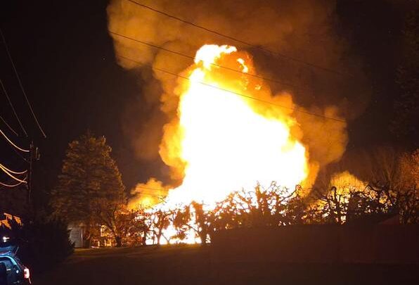 Wrights Farm open for business after big barn fire