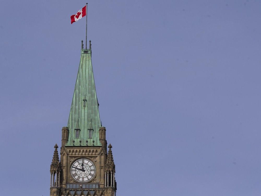 What is a 'sustainable' staffing in the public service for Mark Carney's government?