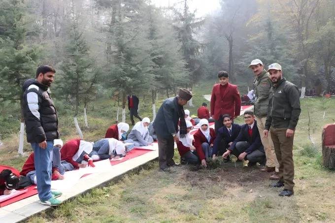 UF Division Srinagar organises plantation