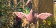 Birmingham Zoo unveils flamingo sculpture