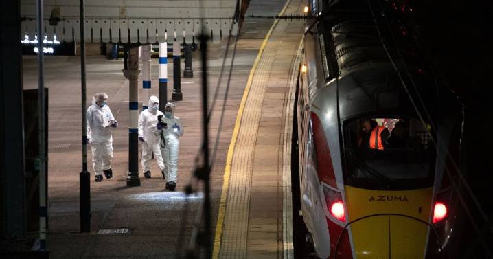 Security expert calls for metal detectors at 'all stations' after horror train stabbing