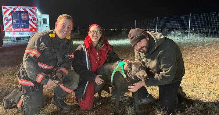 Denver area firefighters rescue dog trapped in culvert