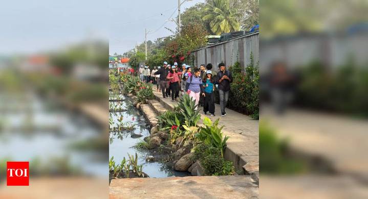 Bengaluru's K-100 Project: Transforming Stormwater Drains into Vibrant Public Spaces