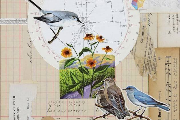 How Wallace Stegner left Utah and found himself