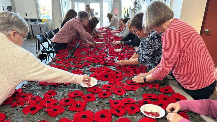 P.E.I. volunteers knit and crochet 14,000 poppies as 'work of love' for Remembrance Day