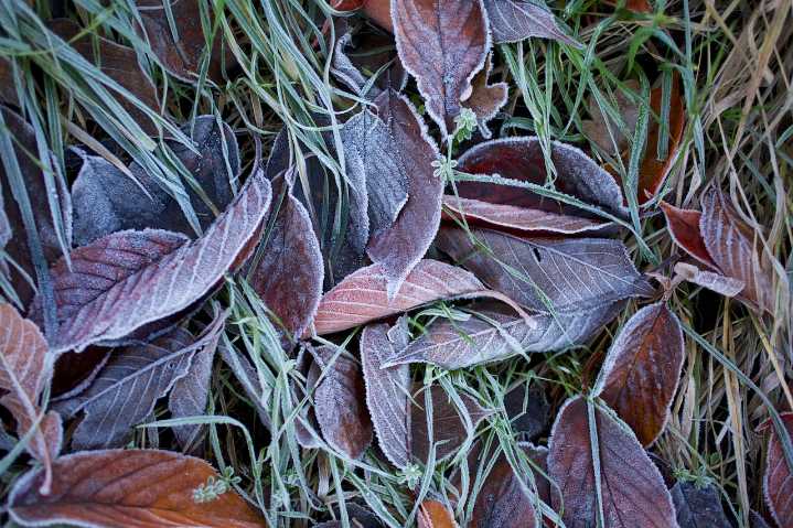 Sunshine will chase away a frosty Sunday morning in the Portland area