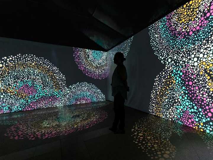 'Songlines: Tracking the Seven Sisters' exhibition comes to India