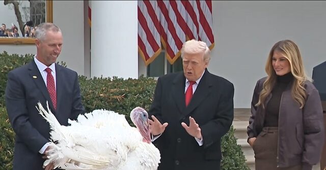 Watch Live: Donald and Melania Trump Pardon Thanksgiving Turkeys
