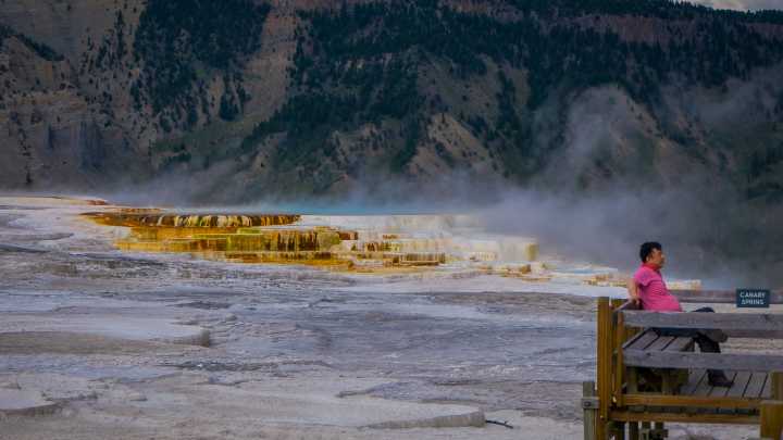 Yellowstone National Park's Top Moment Of The Shutdown Was Caught Thanks To A Visitor's Bold Prediction