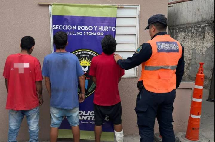 Entraron a robar a una casa y mataron a un Pitbull con un destornillador: fueron detenidos