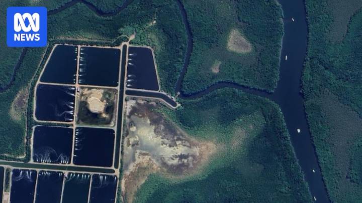 Queensland aquaculture company and CEO fined $300k for illegal barramundi farm