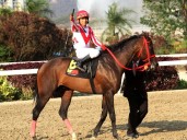 Atractiva Condicional Especial