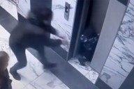 Boy Plunges Down Elevator Shaft in Front of Parents After Door Gives Way: Report