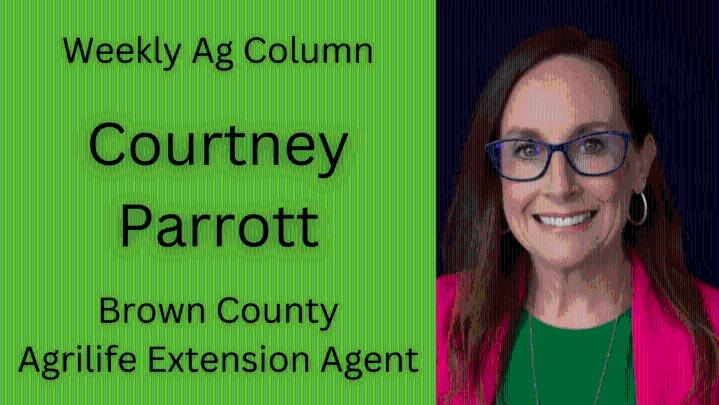 Empowering safer roads, workplaces in Texas