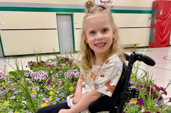 A playground fit for a princess: Sask. mom fundraising to improve accessibility