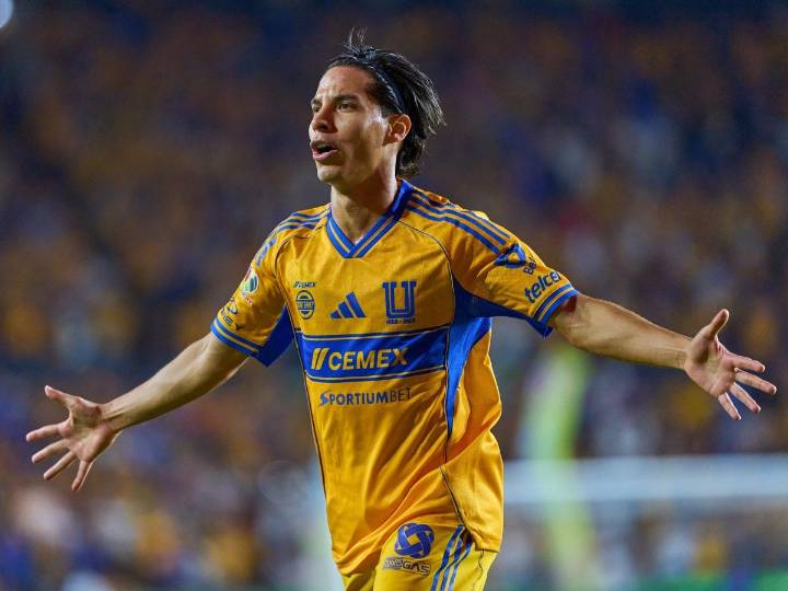 Tigres gana y es líder provisional en la última jornada