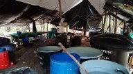Destruido mega cristalizaderos para el procesamiento de clorhidrato de cocaína en Casanare