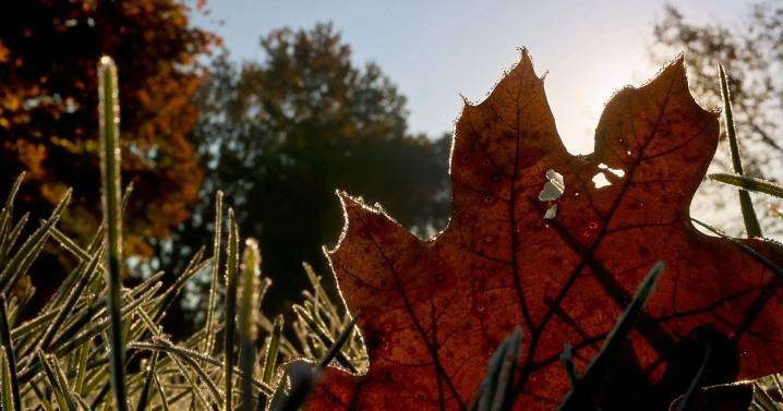 Widespread freezing temperatures return to St. Louis