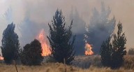Ayacucho: incendio forestal arrasa más de 400 hectáreas de vegetación en Vinchos 
