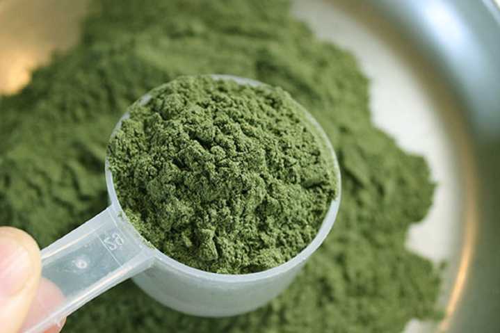 Kratom derivative could become a Schedule 1 drug