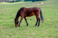 Hollywood dad shares update on daughter after scary accident