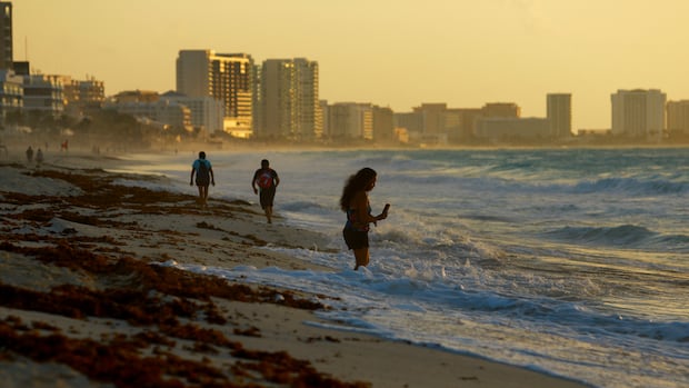 Canadian travel advisory used for political attacks on president, says Mexican lawmaker