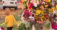 Saturday candlelight vigils to honor child killed in Harrison Boulevard crash