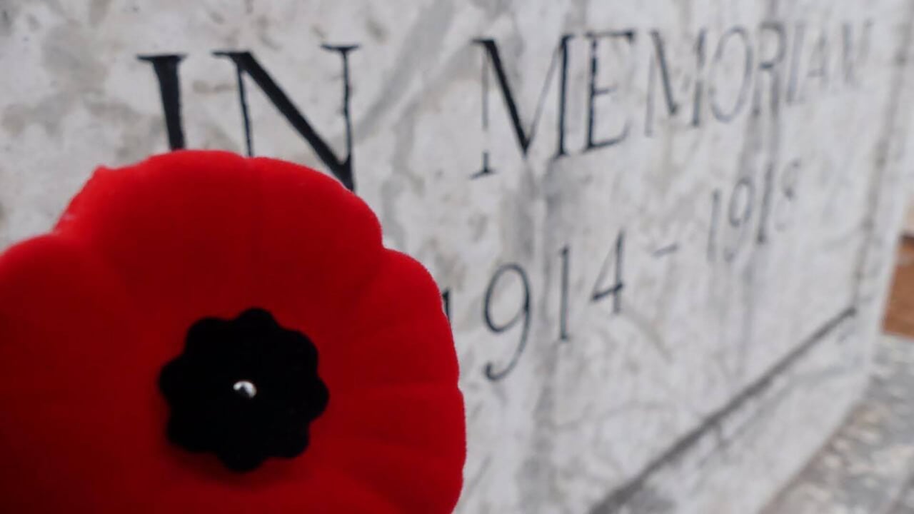 Winnipeg Remembrance Day ceremony