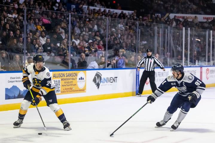 Admirals drop series opener to Savannah as Ghost Pirates’ goalie shines
