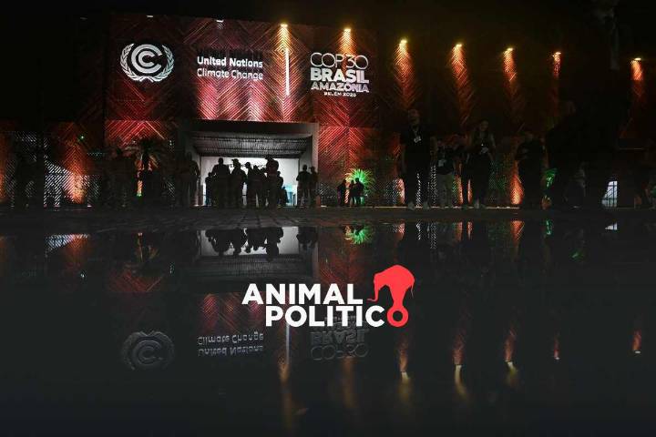 COP30: organizaciones piden a México compromisos ambiciosos en mitigación al cambio climático