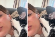 Woman Cuddles With Cat—Not Ready for What the Feline Does to Her Face