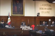 Corte anula facultades de Fiscalía Anticorrupción de QR para vigilancia invasiva a ciudadanos