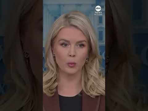 WH press secretary Karoline Leavitt: Epstein emails prove 'President Trump did nothing wrong'