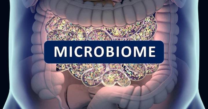 The Hype and Limits of At-Home Gut Microbiome Tests