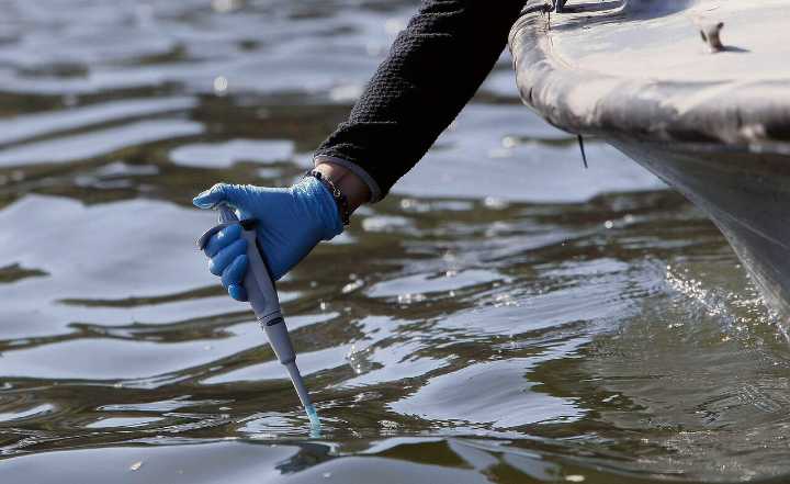 Familia denuncia muerte de perro por intoxicación tras bañarse en el Lago Vichuquén: “Vomitó sangre”