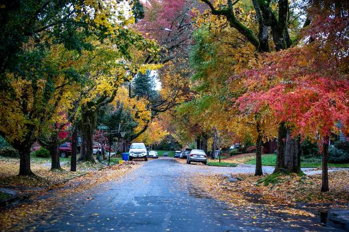 More scattered rain and showers in store for Portland area