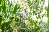 What’s happening at Powell Farm?