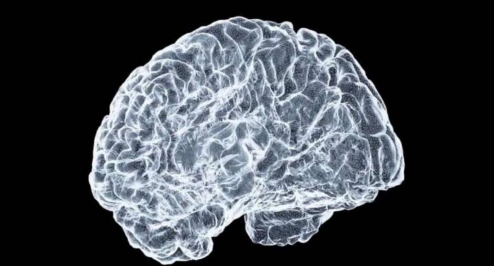 ¿Es posible rejuvenecer? Revelan experimento que apunta a que sí