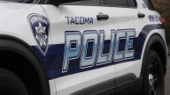 Tacoma woman charged for having 73 neglected cats in U