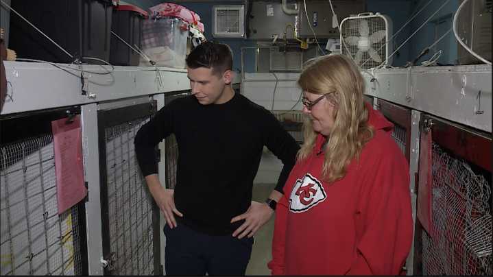 Rural animal shelters that benefit from KC nonprofit have funding challenges