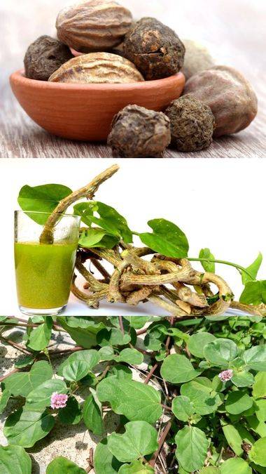 Natural Ayurvedic Remedies to Reduce Uric Acid and Ease Joint Pain