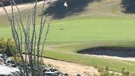 Desert Willow cleans out overgrown areas, reduces turf during renovation