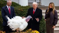 Ni los pavos se salvan con Trump