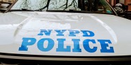 NYPD Looking For 2 People Who Attacked and Robbed Woman in Central Park