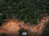 Minería ilegal en Venezuela: una pieza clave en la emergencia amazónica