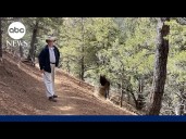 Dallas attorney still missing while hiking Appalachian Mountains: Sheriff