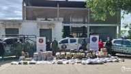 Destruyeron 69 kilos de marihuana y más de 180 mil pastillas
